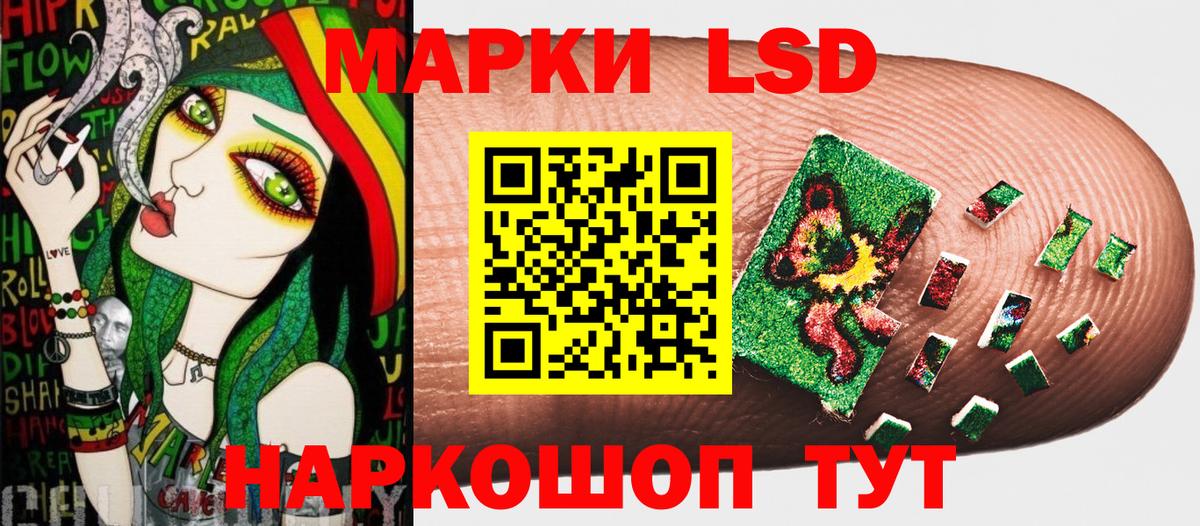 где найти   Марки NBOMe 1,5мг  Вход с VPN  Марки NBOMe 1,5мг  Камышлов 