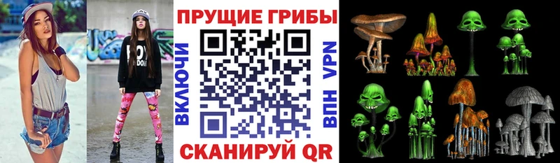 shop телеграм  мега ссылки  Камышлов  Галлюциногенные грибы ЛСД 