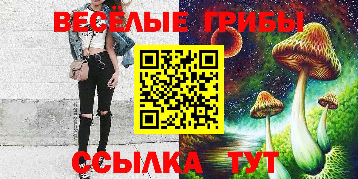 Псилоцибиновые грибы GOLDEN TEACHER Камышлов