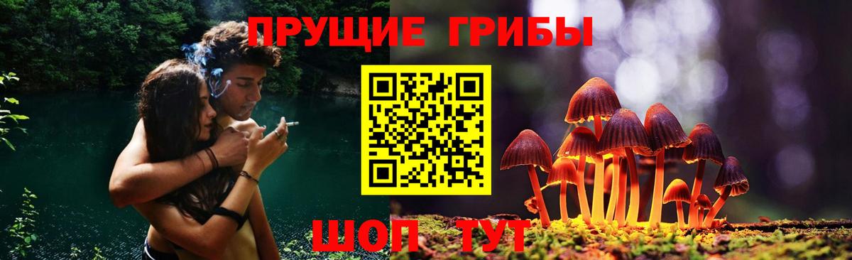 Камышлов  Псилоцибиновые грибы GOLDEN TEACHER  Вход с VPN  Галлюциногенные грибы прущие грибы 